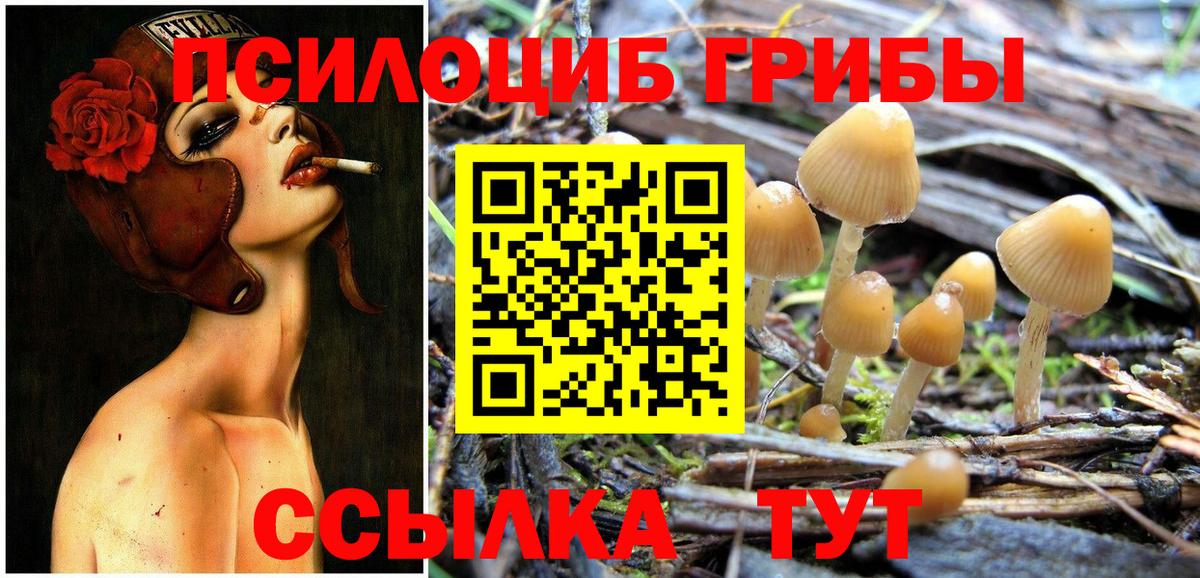 Галлюциногенные грибы мицелий  хочу   Екатеринбург  Вход с VPN 
