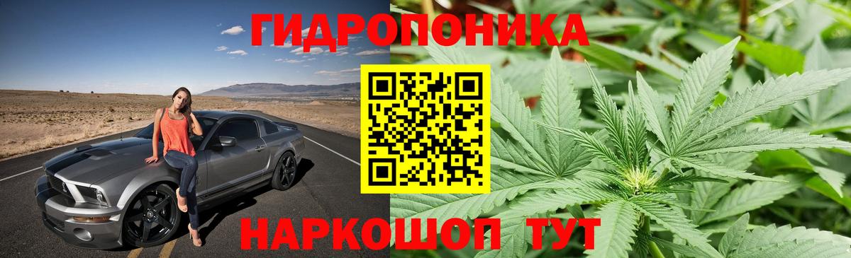 Бошки Шишки семена  Бошки Шишки ГИДРОПОН  Екатеринбург  Бошки Шишки планчик  Вход с VPN 